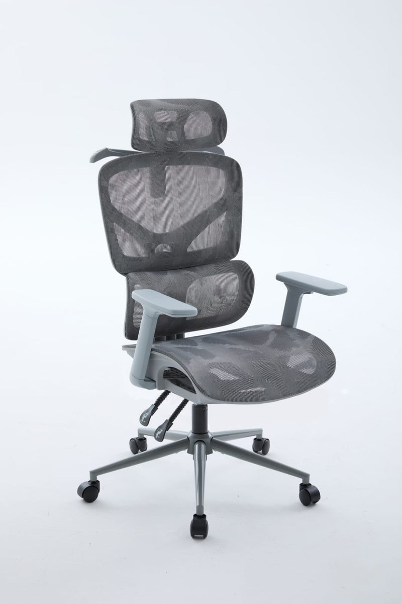 Igris Apex Premium Ergonomic Mesh Chair