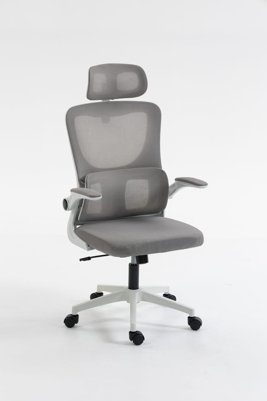 Igris Lunar Cloud Comfort Ergonomic Mesh Office Chair