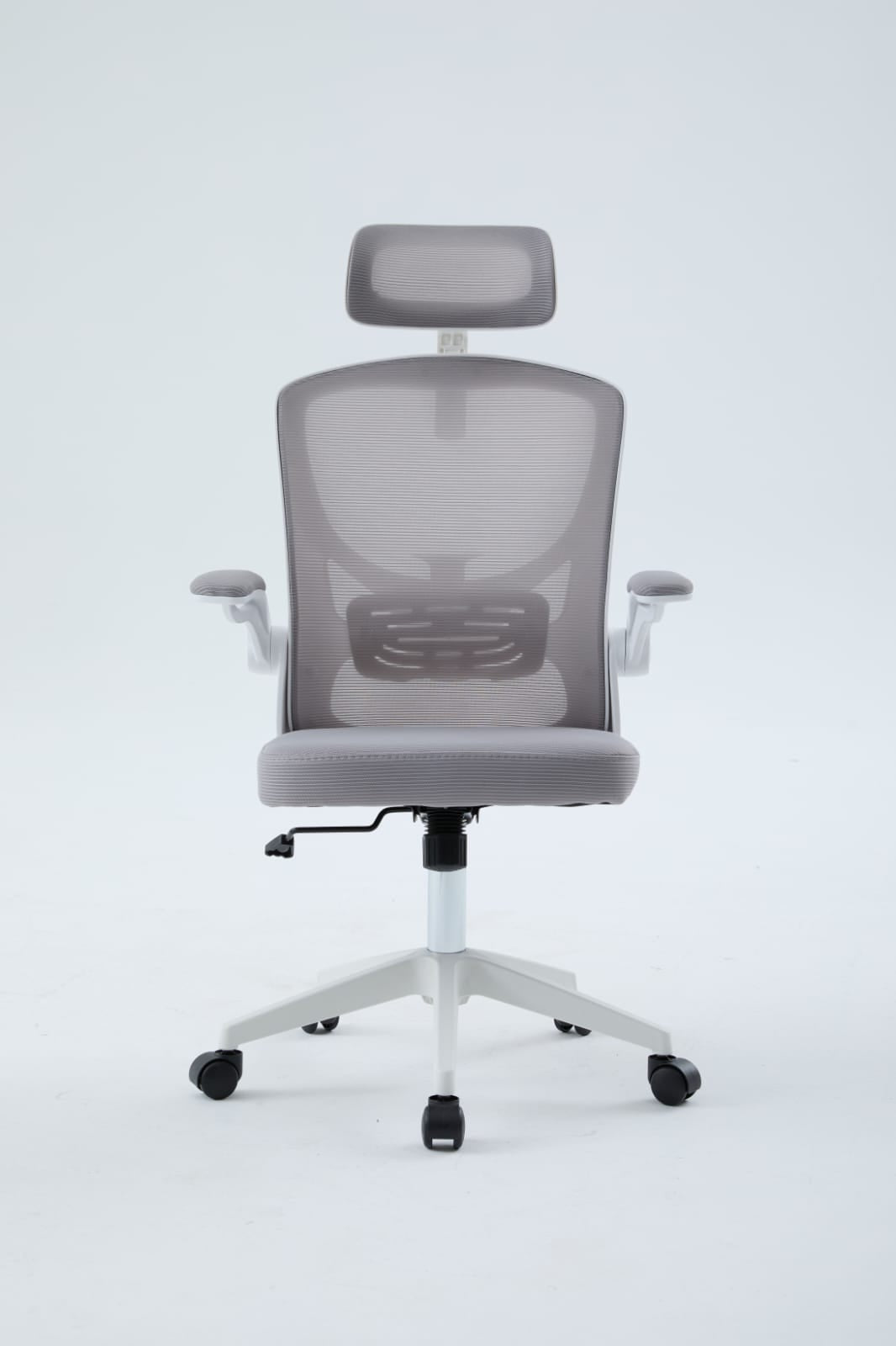 Igris Frost Ergonomic High-Back Mesh Chair