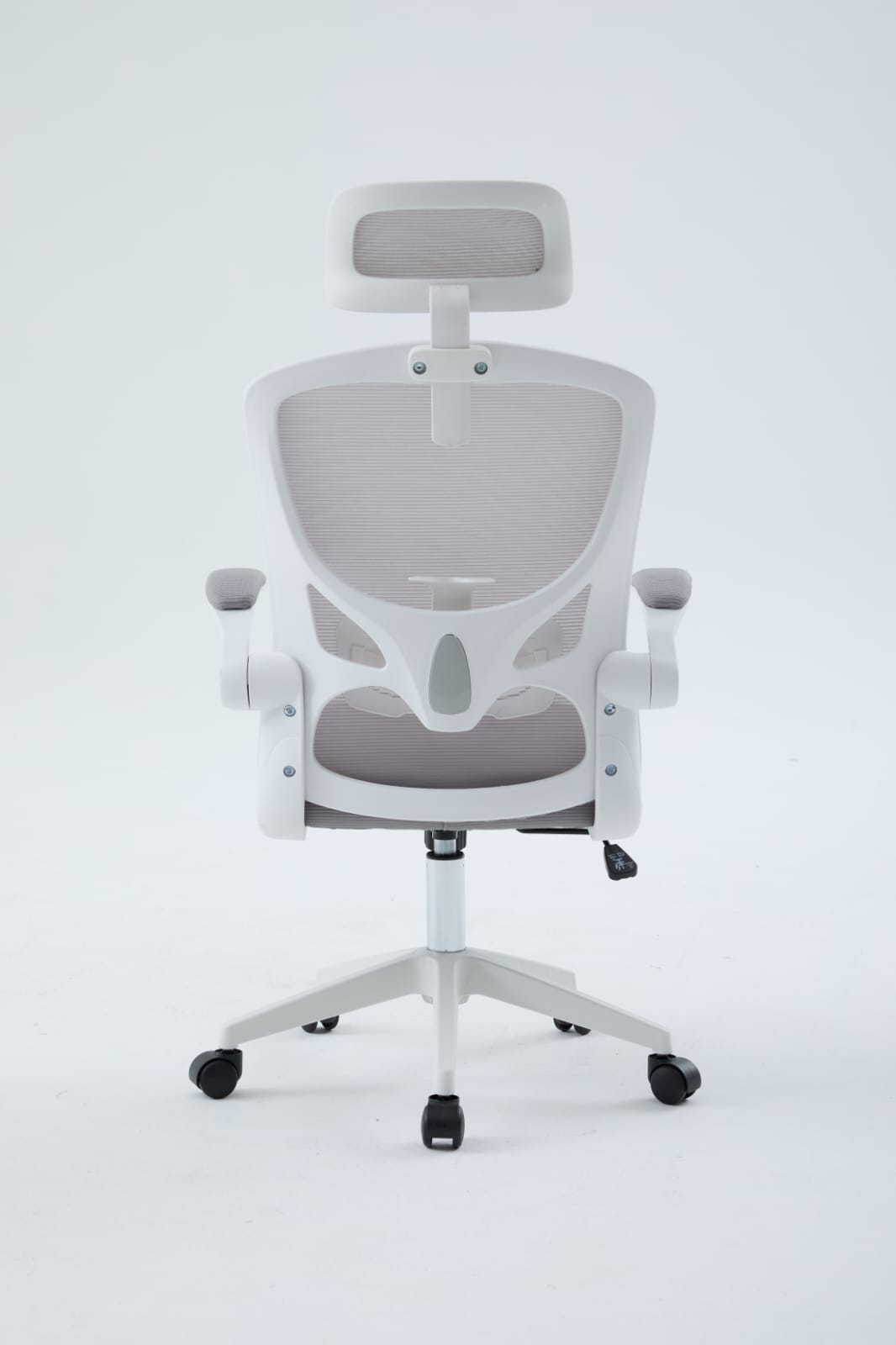 Igris Frost Ergonomic High-Back Mesh Chair