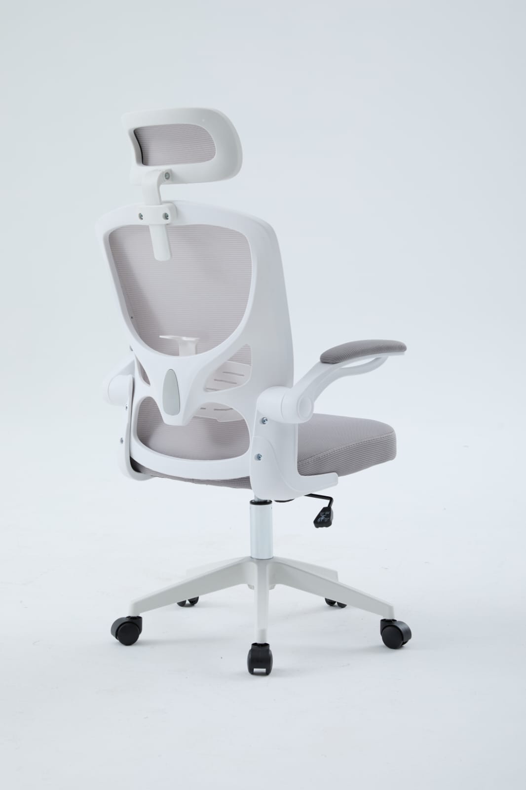 Igris Frost Ergonomic High-Back Mesh Chair