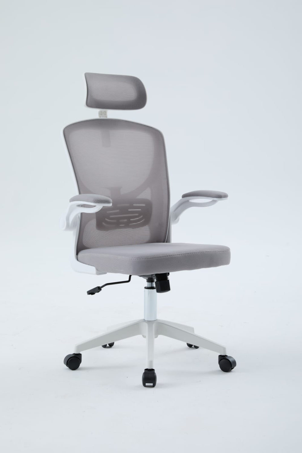 Igris Frost Ergonomic High-Back Mesh Chair
