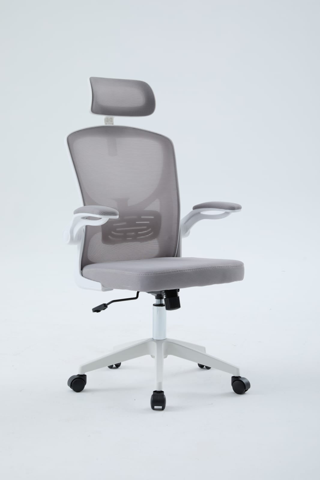 Igris Frost Ergonomic High-Back Mesh Chair