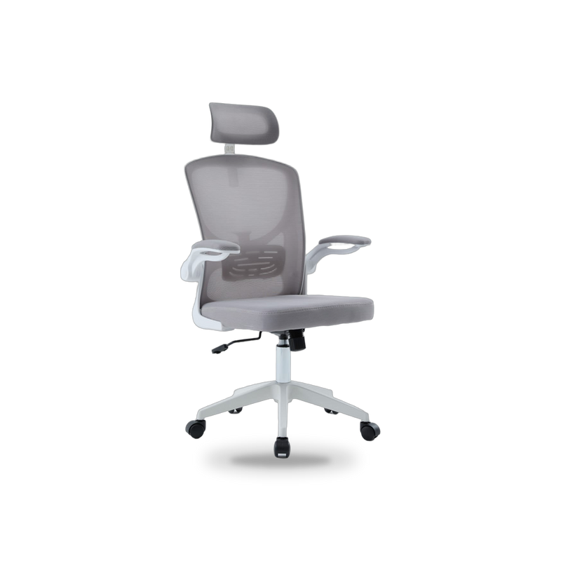 Igris Frost Ergonomic High-Back Mesh Chair