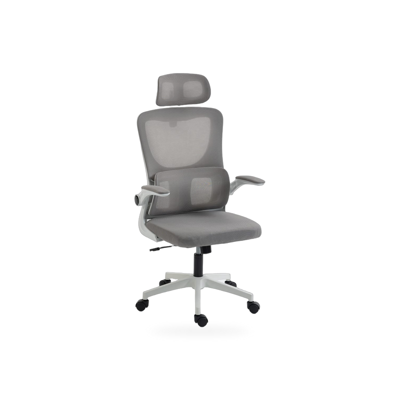 Igris Lunar Cloud Comfort Ergonomic Mesh Office Chair