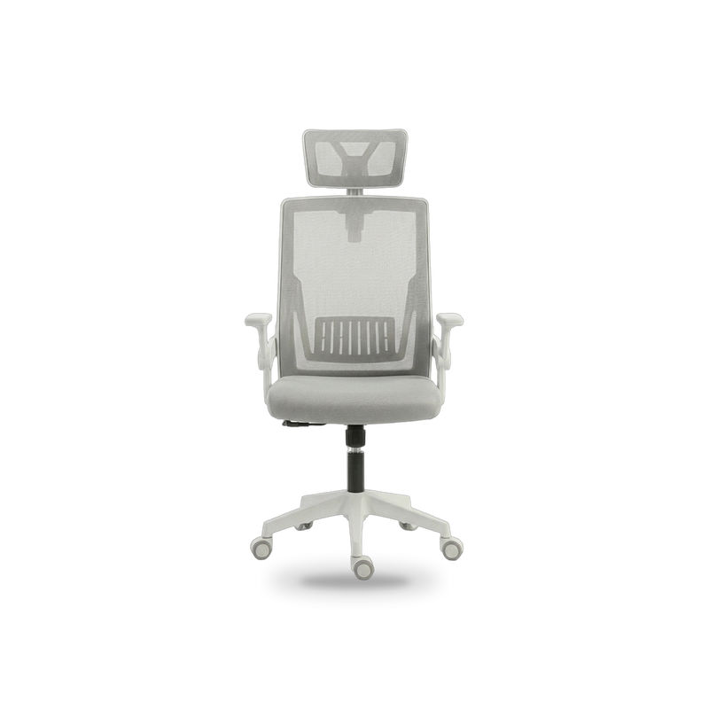 Igris Matrix High-Back Ergonomic Desk Chair