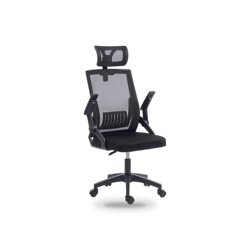 Igris Midnight High-Back Ergonomic Desk Chair