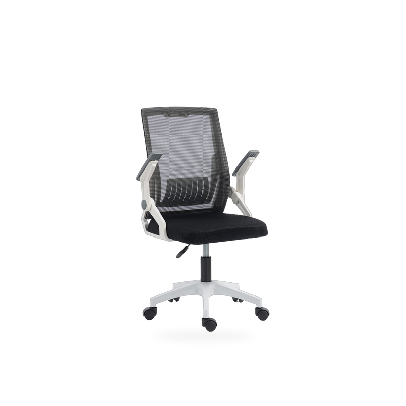 Igris Slate Mid-Back Ergonomic Task Chair