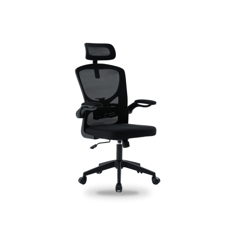 Igris Stealth Ergonomic High-Back Mesh Chair
